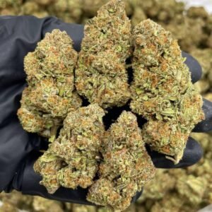 Blue Dream Weed Strain