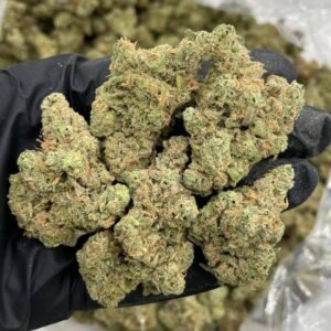 Durban Poison strain