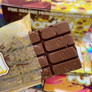 Portal Mushroom Chocolate Bar 6g
