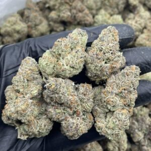 Ice Cream Cake Strain