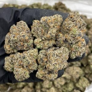 Lemon Cherry Gelato strain