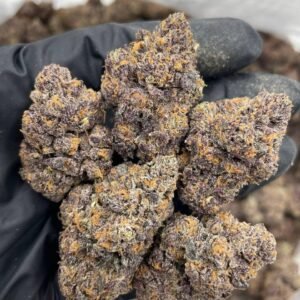 Purple Punch strain