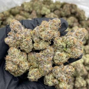 Strawberry Fields weed strain