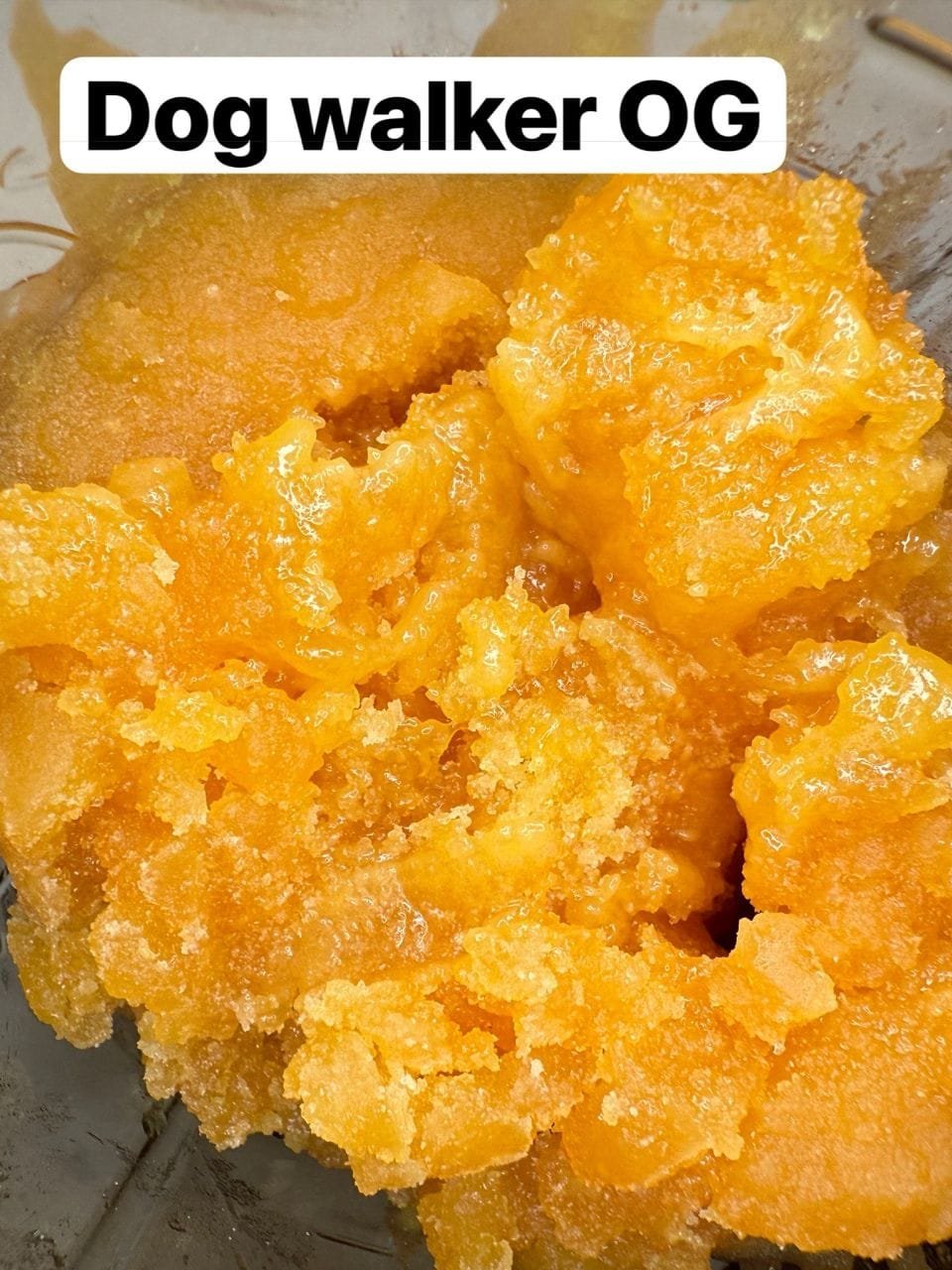 TWAX Live Extracts Dog Walker OG