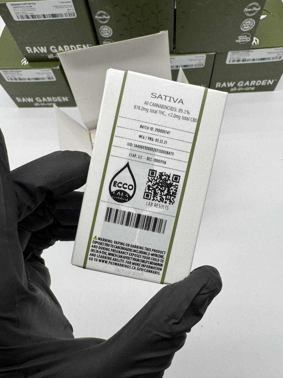 Raw Garden Disposable - Image 4