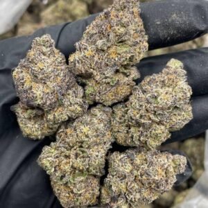 White Gushers Strain