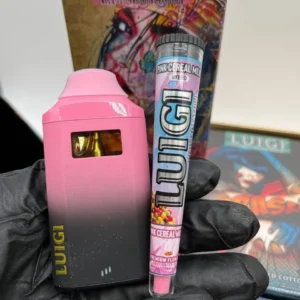 Luigi 2G Disposable