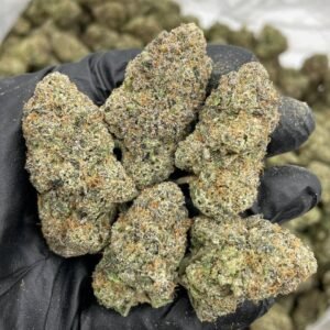 garlic cookies strain