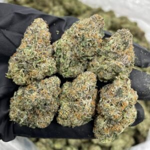 Gary Payton Cookies strain