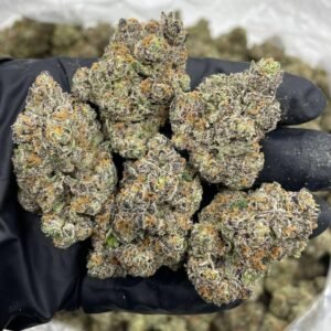 oreo runtz strain​