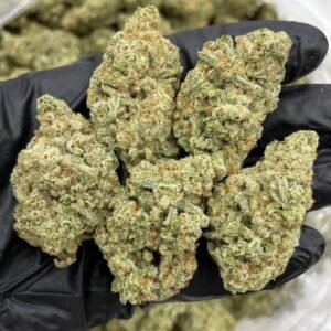 Apple Fritter strain